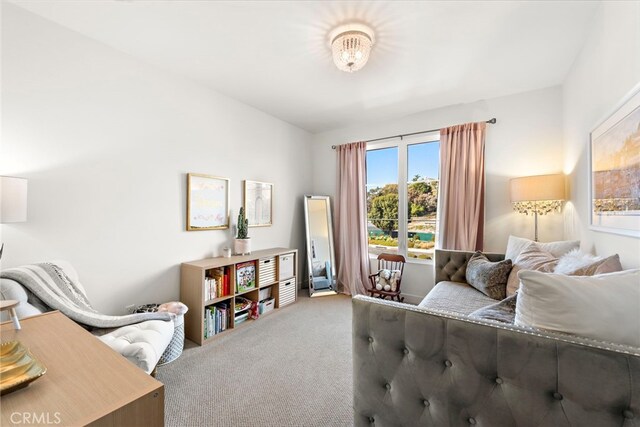 bedroom featuring carpet flooring