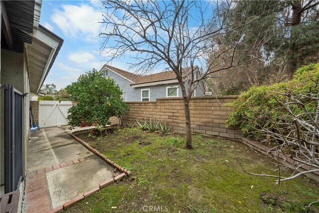 view of yard with a patio area