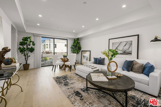 living room featuring a raised ceiling and light hardwood / wood-style floors