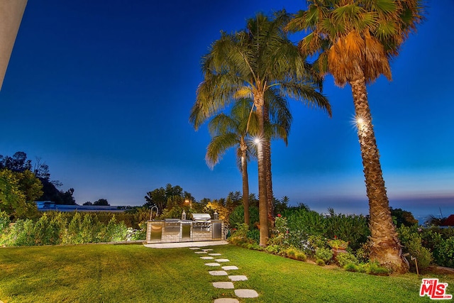 view of yard at dusk