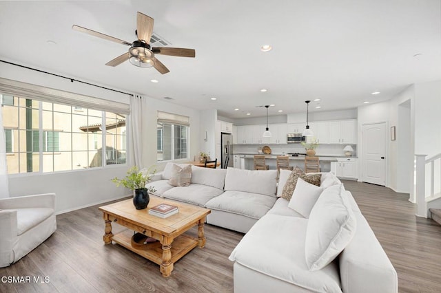 living room with hardwood / wood-style flooring and ceiling fan