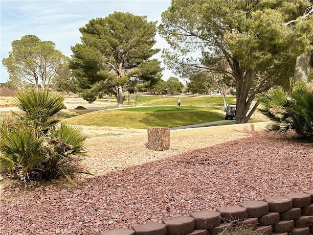 view of home's community with a lawn