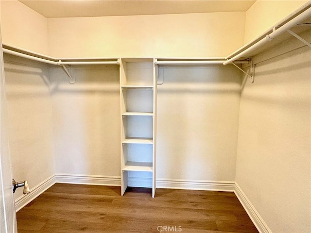 walk in closet with hardwood / wood-style flooring