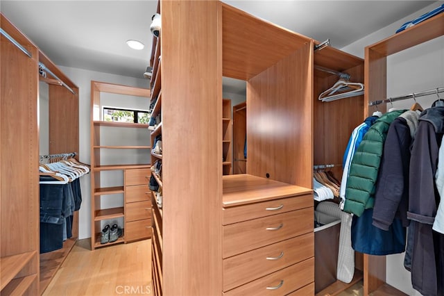 spacious closet featuring light wood-type flooring