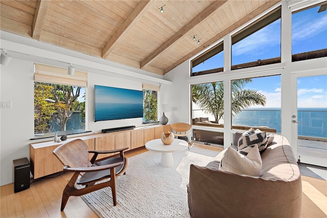 living room with beamed ceiling, a healthy amount of sunlight, light hardwood / wood-style floors, and wooden ceiling