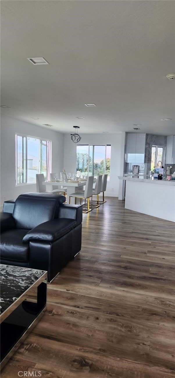 living room featuring dark hardwood / wood-style flooring