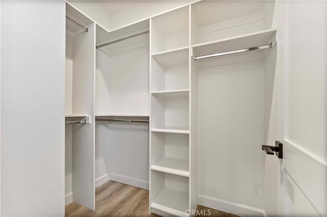 walk in closet with hardwood / wood-style flooring