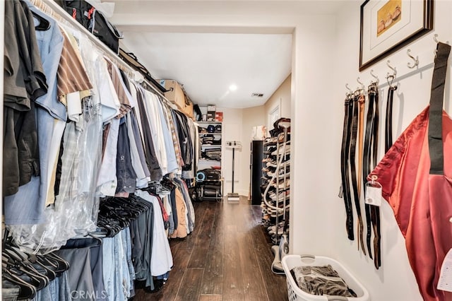 spacious closet with dark wood-type flooring