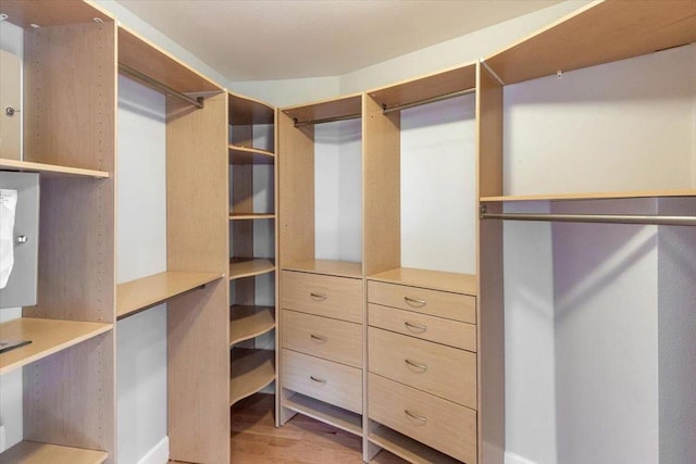 spacious closet with hardwood / wood-style floors