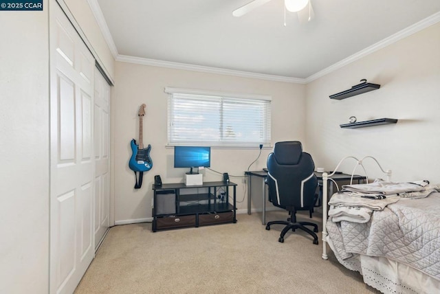 carpeted office featuring ornamental molding and ceiling fan