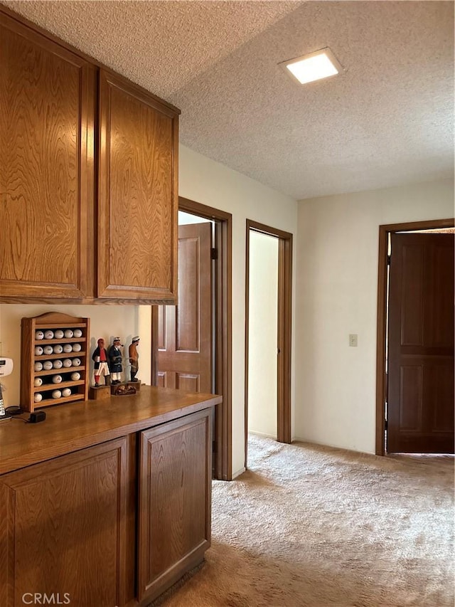 interior space featuring light carpet and a textured ceiling