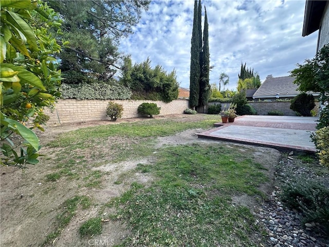 view of yard featuring a patio and a fenced backyard