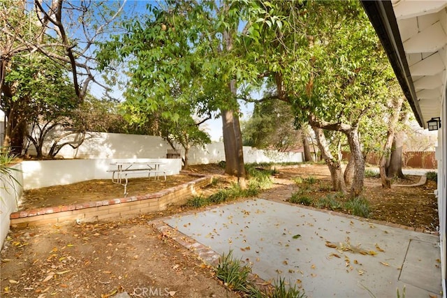 view of yard featuring a patio area