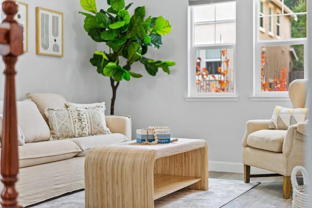 sitting room featuring light wood-type flooring