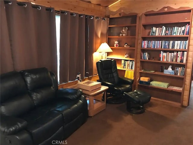 sitting room with carpet