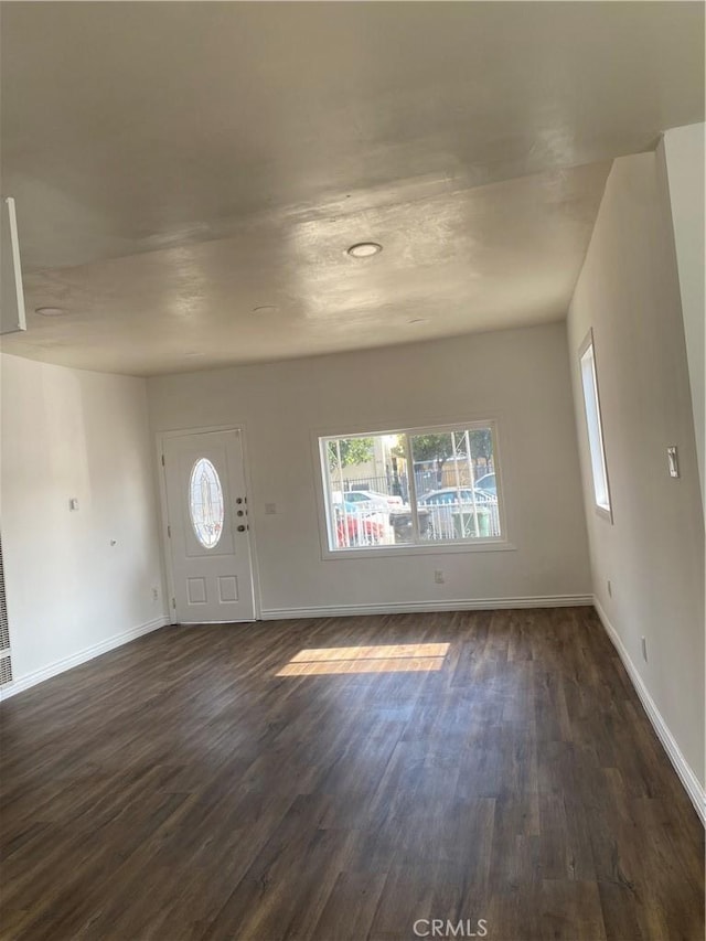 foyer entrance featuring dark wood-type flooring