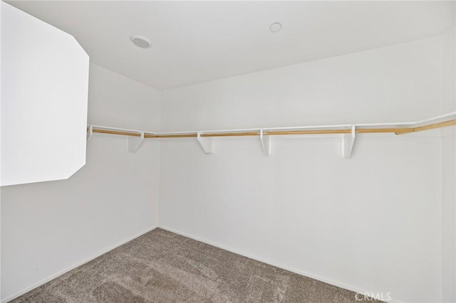 spacious closet with carpet floors