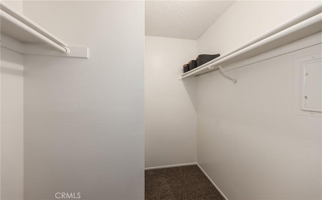 spacious closet with carpet floors