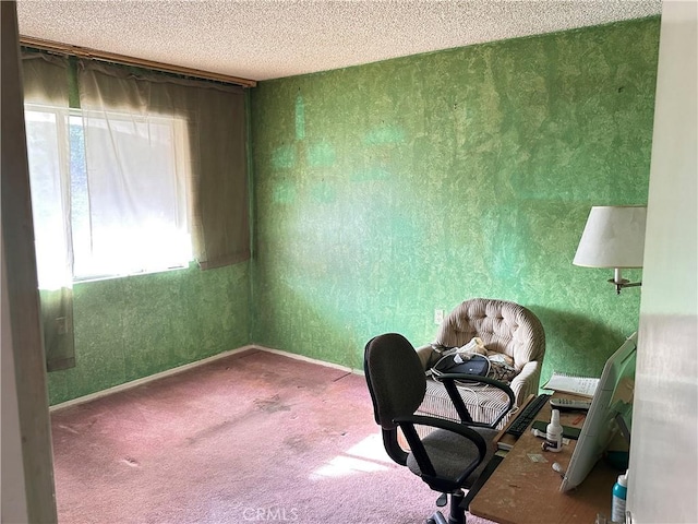 carpeted office space featuring a textured ceiling