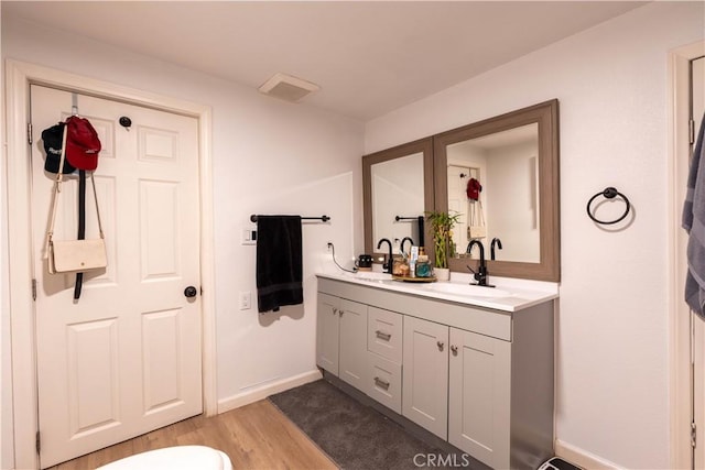 bathroom featuring vanity and hardwood / wood-style floors