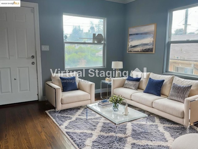 living room with dark hardwood / wood-style flooring and a wealth of natural light