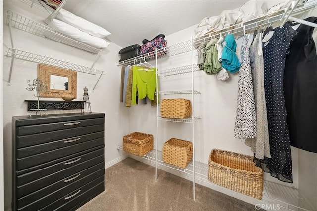 spacious closet with carpet floors