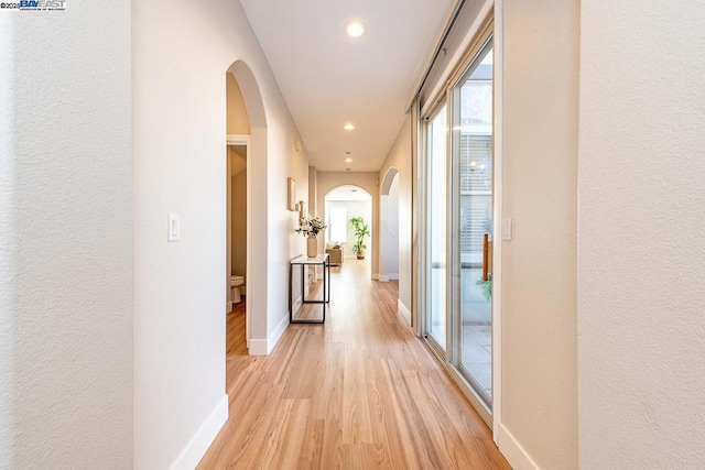 hallway featuring plenty of natural light and light wood-type flooring