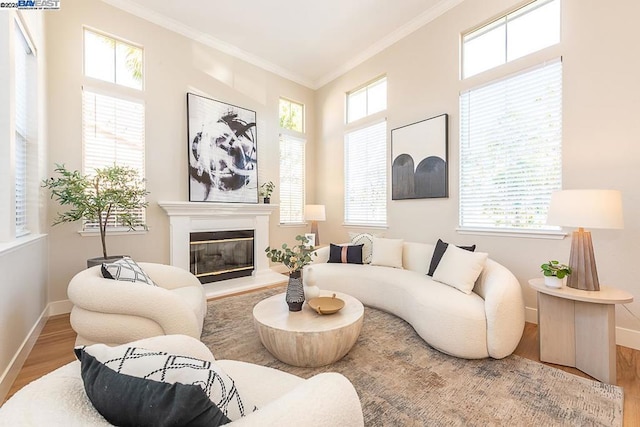 living room featuring crown molding, wood-type flooring, and a wealth of natural light