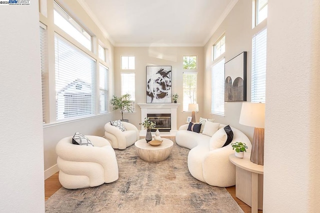 living area with crown molding and wood-type flooring