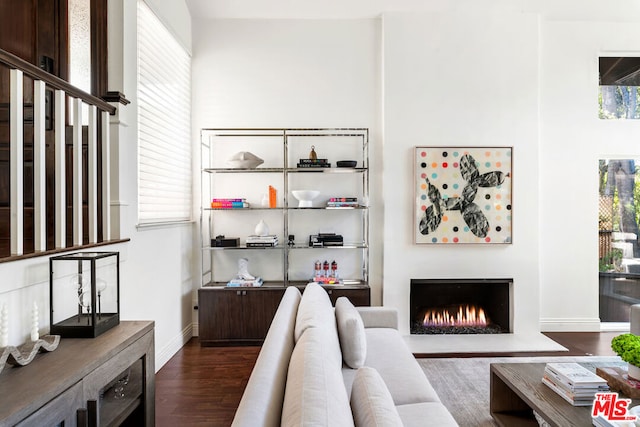 living room with dark hardwood / wood-style flooring