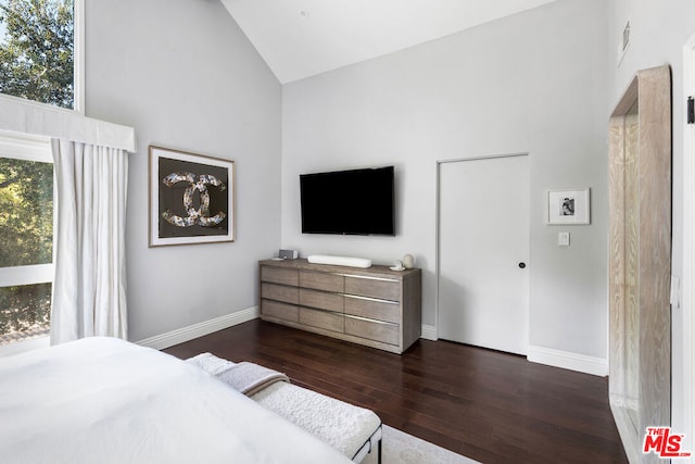 bedroom featuring dark hardwood / wood-style floors and high vaulted ceiling