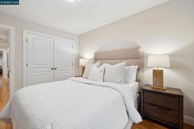 bedroom featuring wood-type flooring and a closet