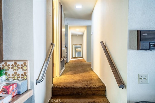 staircase with carpet floors