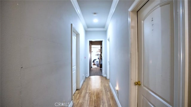 hall with wood-type flooring and ornamental molding