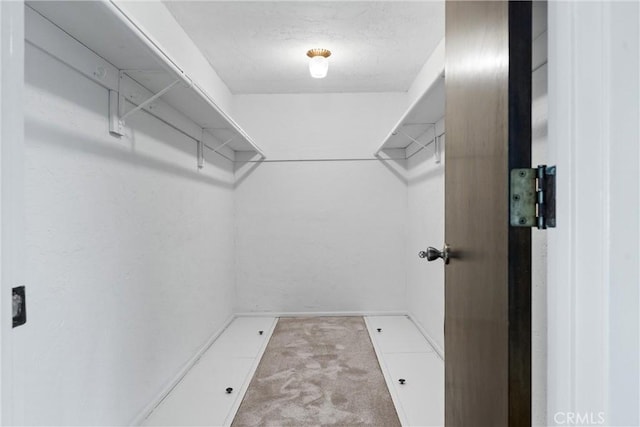 spacious closet featuring carpet