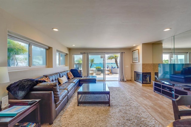 living room with a tiled fireplace and wood-type flooring