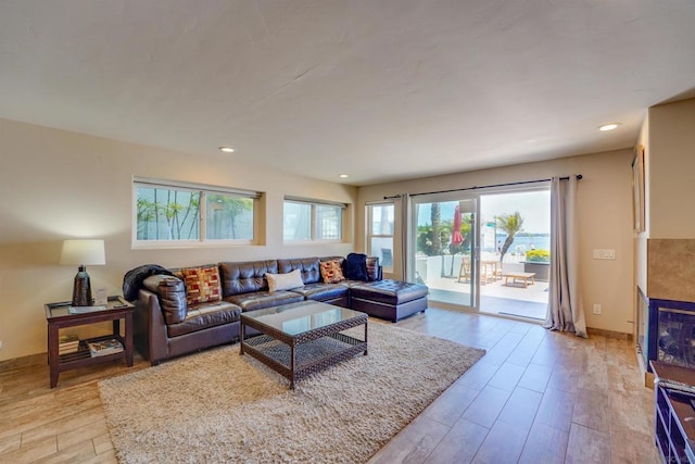 living room featuring light hardwood / wood-style flooring