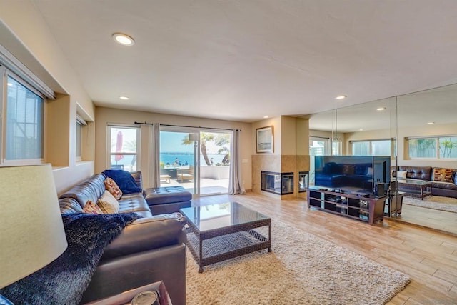 living room with wood-type flooring and a multi sided fireplace