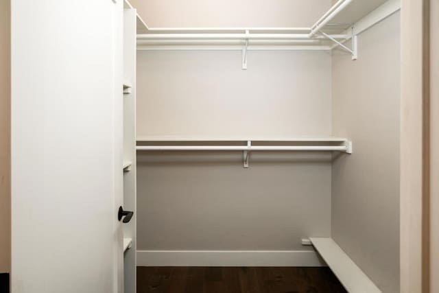 spacious closet featuring dark wood-type flooring