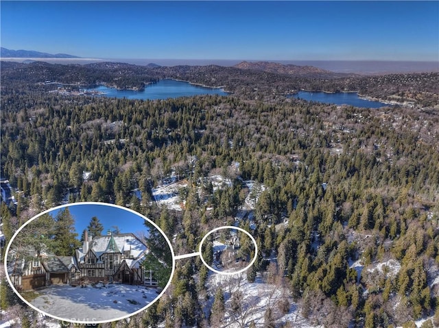 29223 Pigeon Hawk Ln, Lake Arrowhead, CA 92352 - aerial view of a heavily wooded area and a water and mountain view