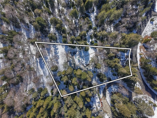 29223 Pigeon Hawk Ln, Lake Arrowhead, CA 92352 - aerial view of property and surrounding area with property parcel outlined