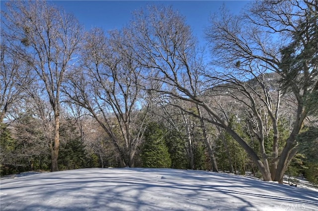 view of yard covered in snow