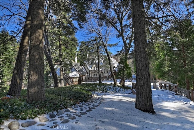 view of yard covered in snow