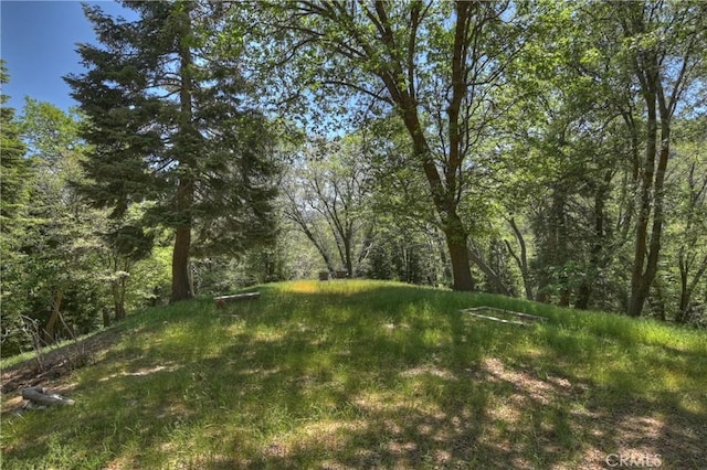 29223 Pigeon Hawk Ln, Lake Arrowhead, CA 92352 - view of yard