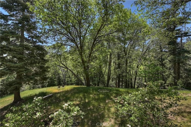 29223 Pigeon Hawk Ln, Lake Arrowhead, CA 92352 - view of woods