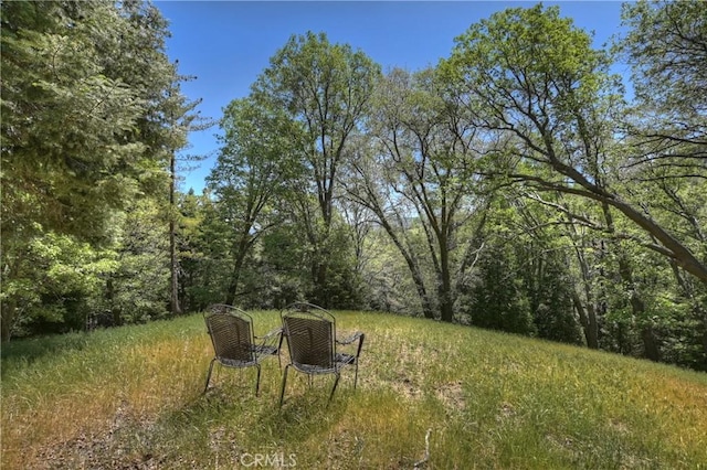 29223 Pigeon Hawk Ln, Lake Arrowhead, CA 92352 - view of yard with a forest view