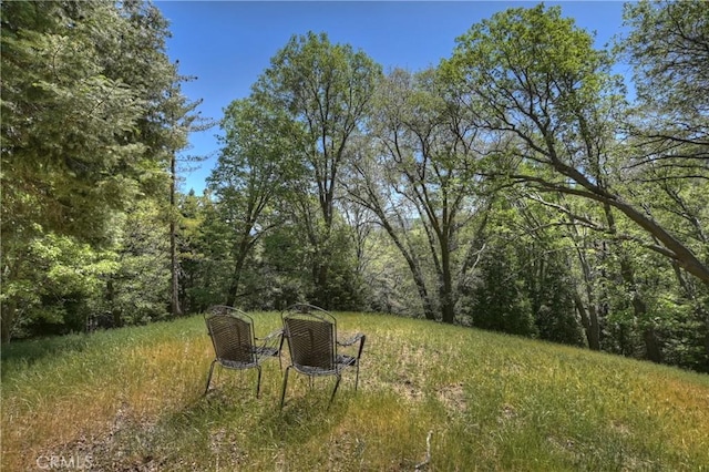 29223 Pigeon Hawk Ln, Lake Arrowhead, CA 92352 - view of yard with a wooded view
