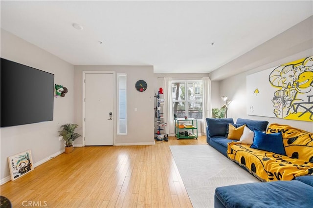 living room with wood-type flooring