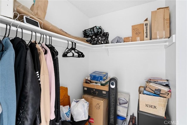 view of spacious closet