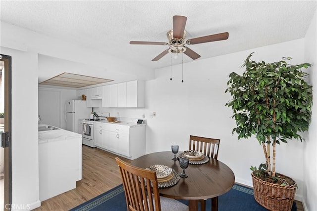 dining area with ceiling fan, light hardwood / wood-style floors, and a textured ceiling